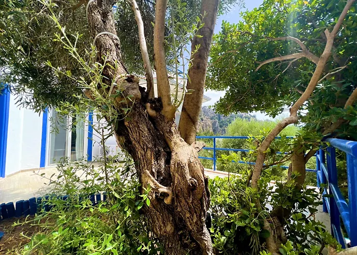 Lavanta Butik מלון דירות טורונץ'