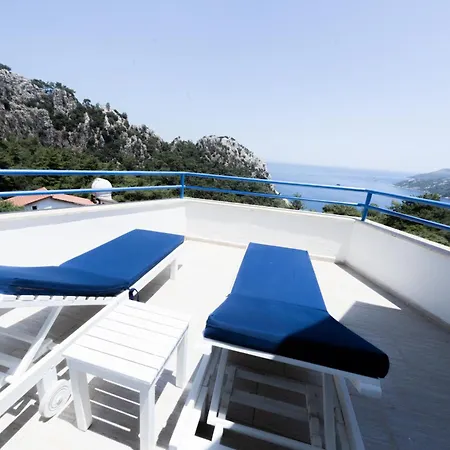 Lavanta Butik Turunc